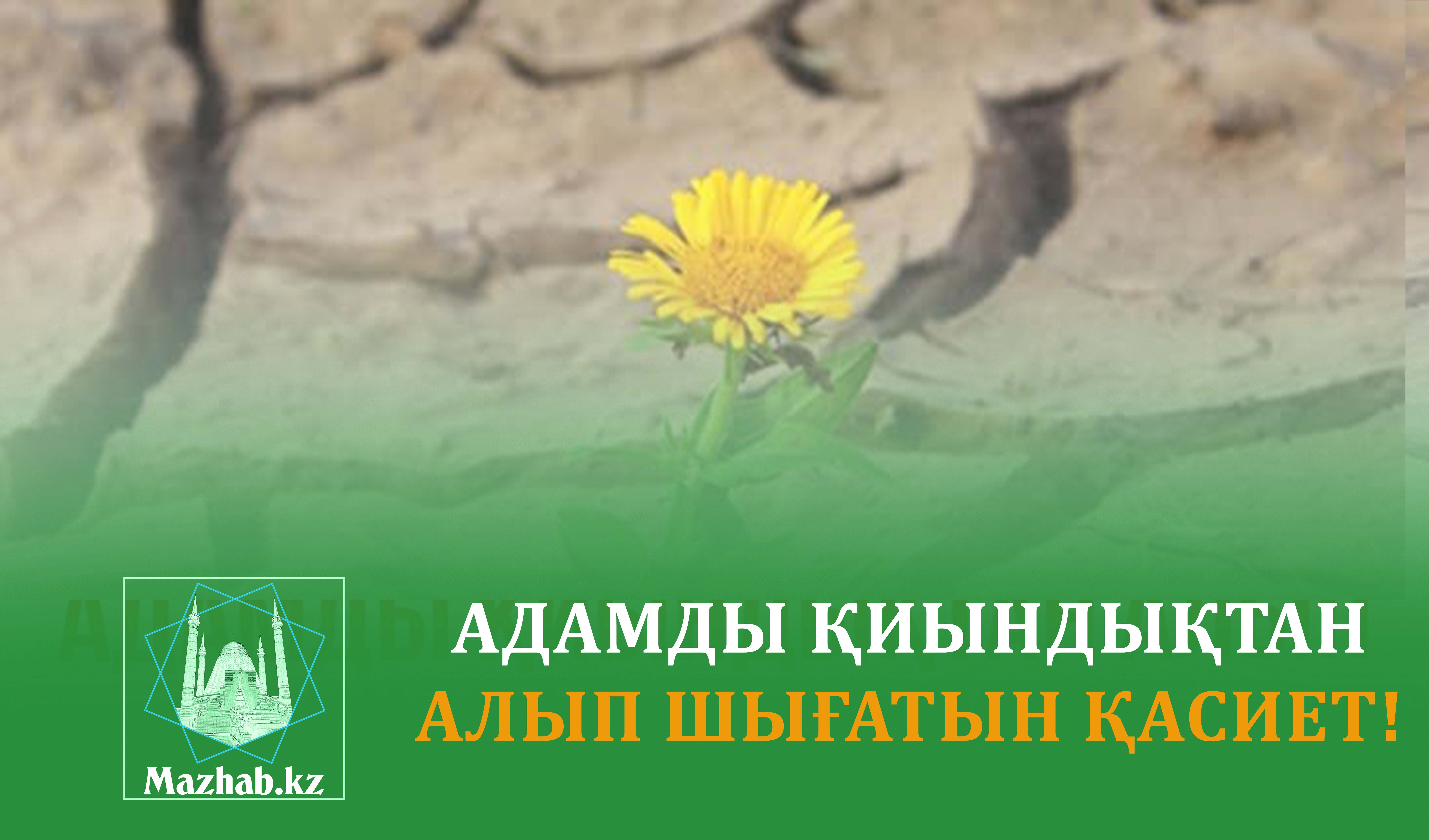 АДАМДЫ ҚИЫНДЫҚТАН АЛЫП ШЫҒАТЫН ҚАСИЕТ!