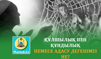 ҚҰЛШЫЛЫҚ ПЕН ҚҰНДЫЛЫҚ НЕМЕСЕ АДАСУ ДЕГЕНІМІЗ НЕ?