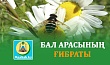 БАЛ АРАСЫНЫҢ ҒИБРАТЫ