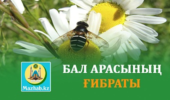 БАЛ АРАСЫНЫҢ ҒИБРАТЫ