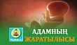 АДАМНЫҢ ЖАРАТЫЛЫСЫ
