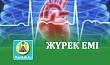 ЖҮРЕК ЕМІ