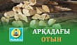 АРҚАДАҒЫ ОТЫН