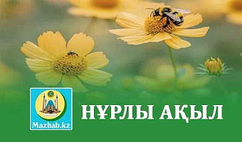 НҰРЛЫ АҚЫЛ