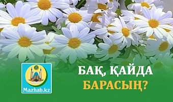 БАҚ, ҚАЙДА БАРАСЫҢ?