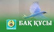 БАҚ ҚҰСЫ