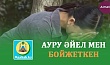 АУРУ ӘЙЕЛ МЕН БОЙЖЕТКЕН