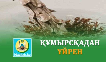 ҚҰМЫРСҚАДАН ҮЙРЕН