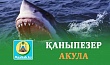ҚАНЫПЕЗЕР АКУЛА (Ғибратты әңгіме)