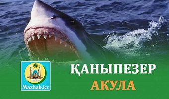 ҚАНЫПЕЗЕР АКУЛА (Ғибратты әңгіме)