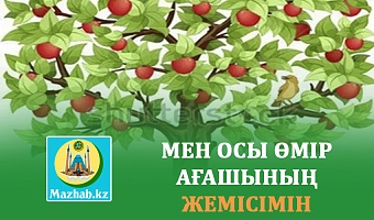 МЕН ОСЫ ӨМІР АҒАШЫНЫҢ ЖЕМІСІМІН