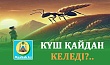 КҮШ ҚАЙДАН КЕЛЕДІ?..