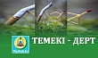 ТЕМЕКІ - ДЕРТ