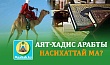 АЯТ-ХАДИС АРАБТЫ НАСИХАТТАЙ МА?