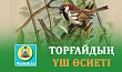 ТОРҒАЙДЫҢ ҮШ ӨСИЕТІ 