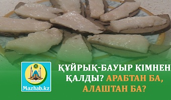 ҚҰЙРЫҚ-БАУЫР КІМНЕН ҚАЛДЫ? АРАБТАН БА, АЛАШТАН БА?