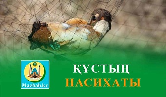 ҚҰСТЫҢ НАСИХАТЫ